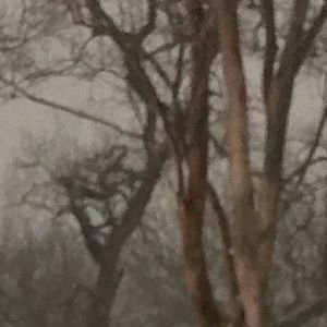 Meet your Posher, Giselle